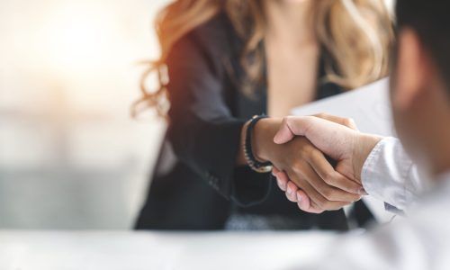 Businesswoman handshake and business people. Successful business concept.